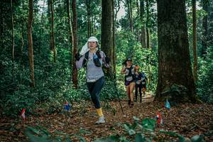 BIB: 
                            <button type="button" onclick="openModal(26097137)" class="btn btn-primary btn-sm float-right btn-popup" data-toggle="modal" data-target=".modal-high-quality">
                        <i class="fas fa-shopping-cart"></i> Add to Cart
                    </button>
                                            <button type="button" onclick="isThisMe(26097137, true)" class="btn btn-success btn-sm float-right btn-popup btn-isme hidden" data-toggle="tooltip" data-placement="bottom" title="นี่คือรูปของคุณใช่ไหม คลิกที่นี่เพื่อเอาเข้าอัลบั้ม">
                        <i class="fas fa-plus"></i> Add to album
                    </button>
                    <button type="button" onclick="isThisMe(26097137, false)" class="btn btn-warning btn-sm float-right btn-popup btn-isnotme hidden">
                        <i class="fas fa-ban"></i> Remove from album
                    </button>